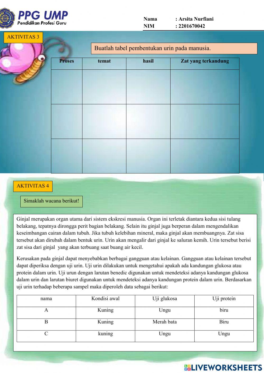 Lkpd ukin-sistem ekskresi ginjal