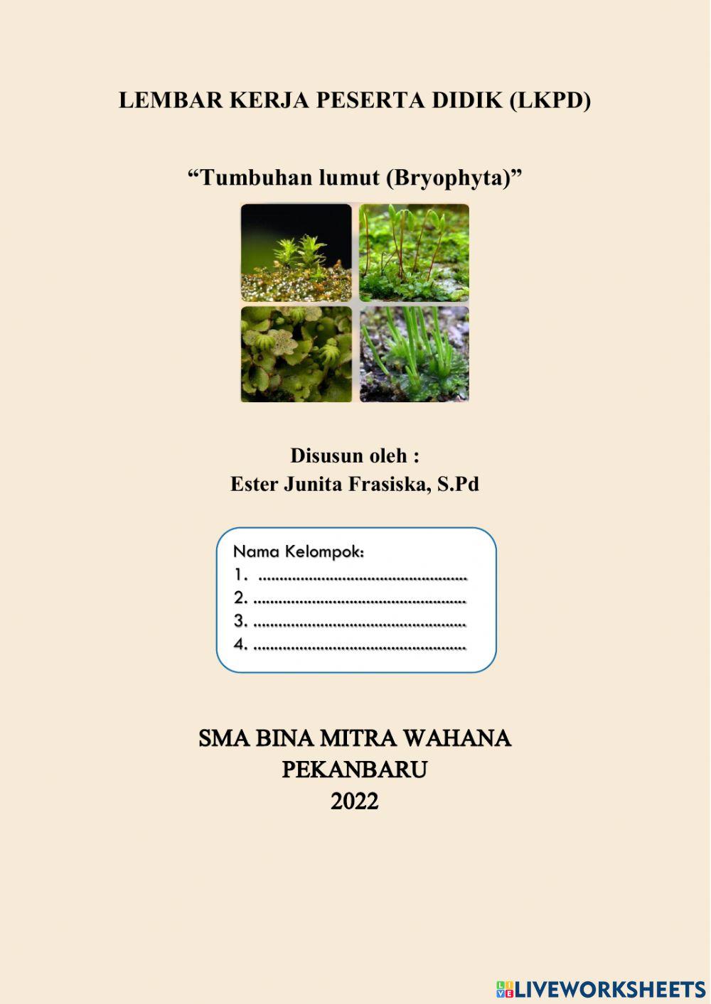 Kingdom Plantae: Tumbuhan Lumut