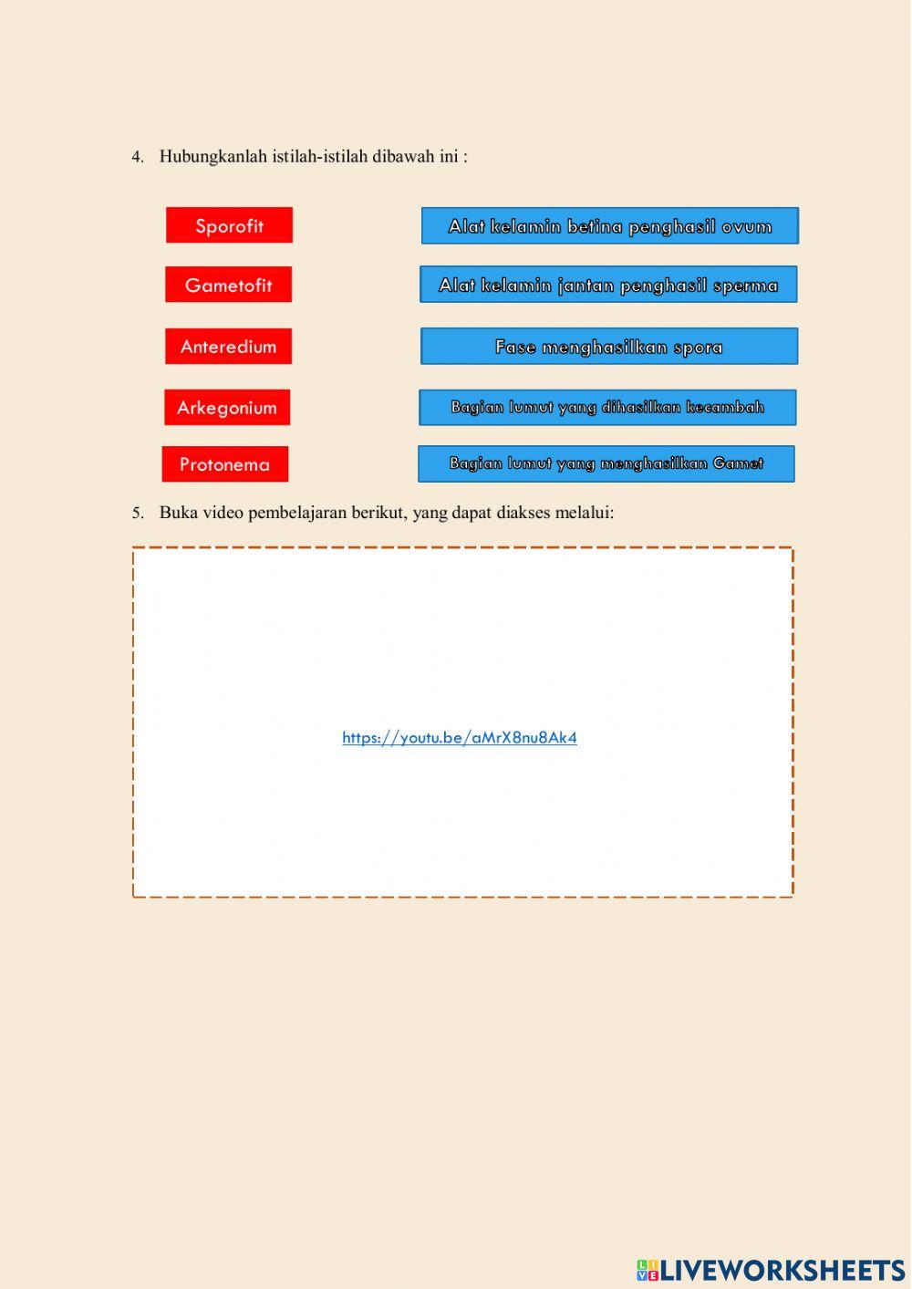 Kingdom Plantae: Tumbuhan Lumut