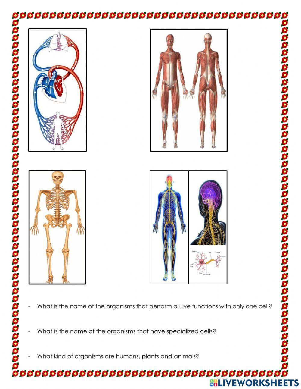 Morning Work Science - Dec 12th to Dec 16th