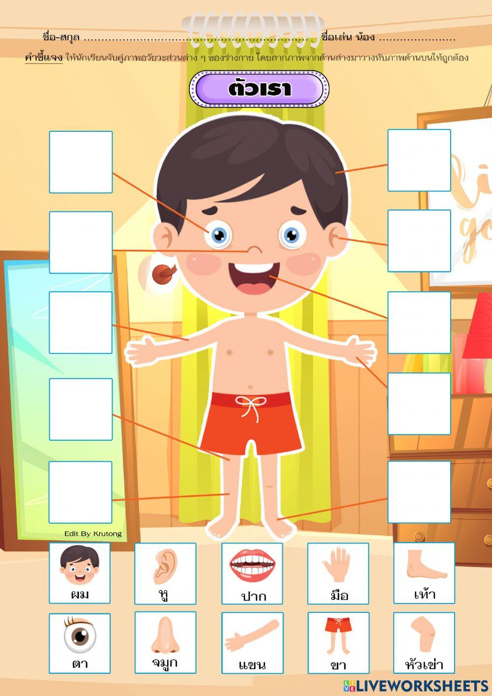 แบบฝึกหัดจับคู่ภาพหมวดอวัยวะภายนอก