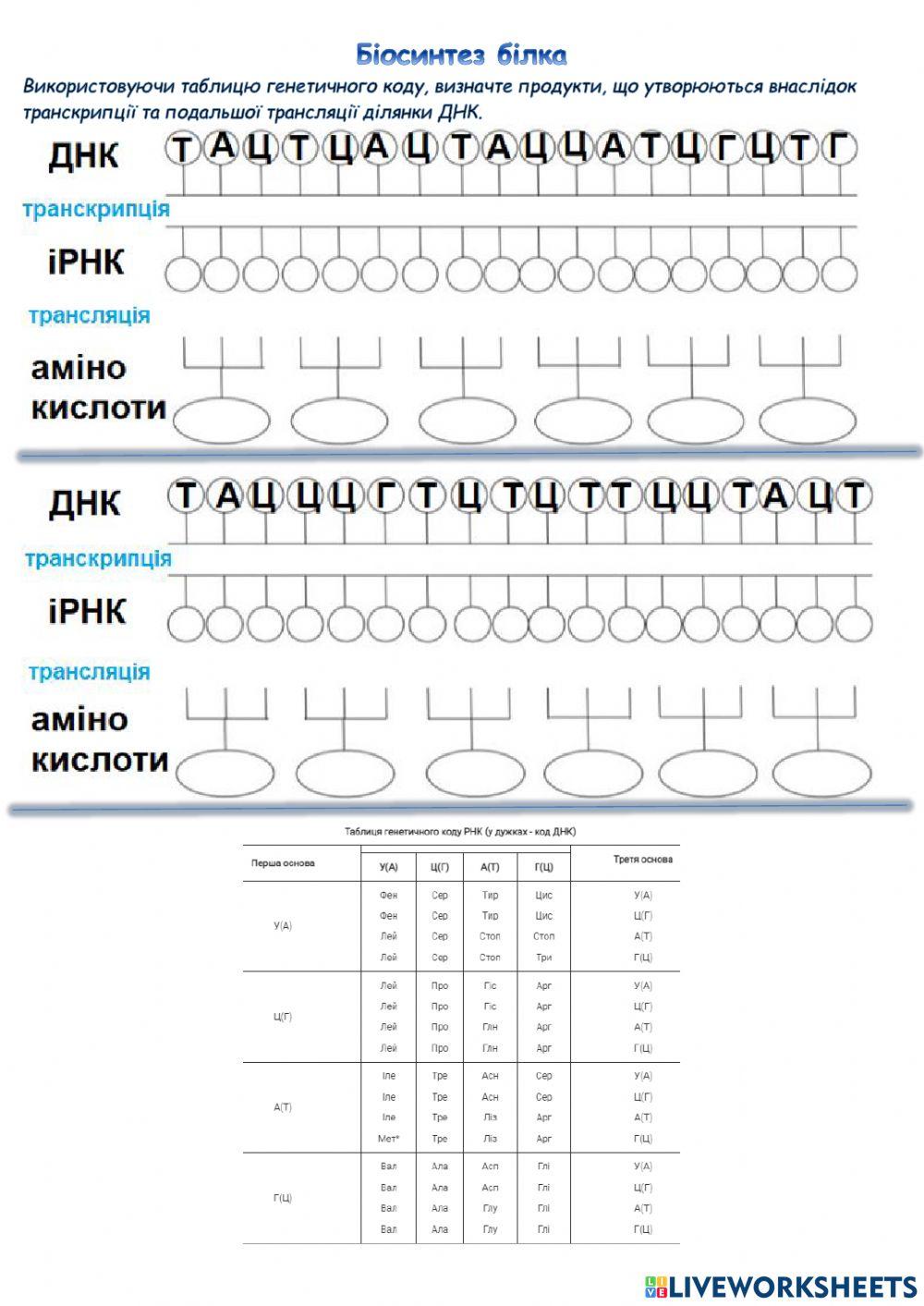 Практична робота 9 клас