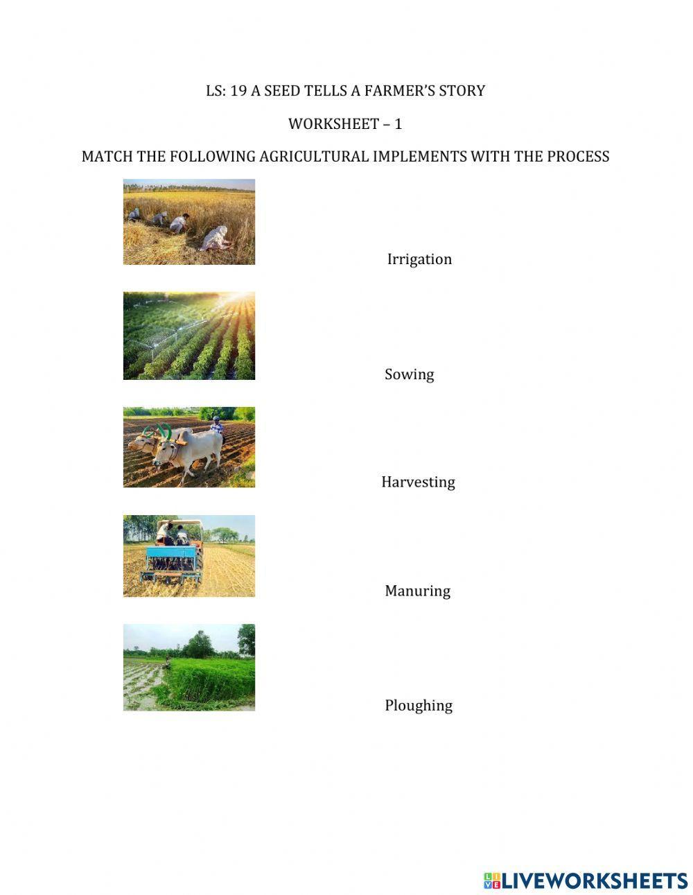 A seed tells afarmer story