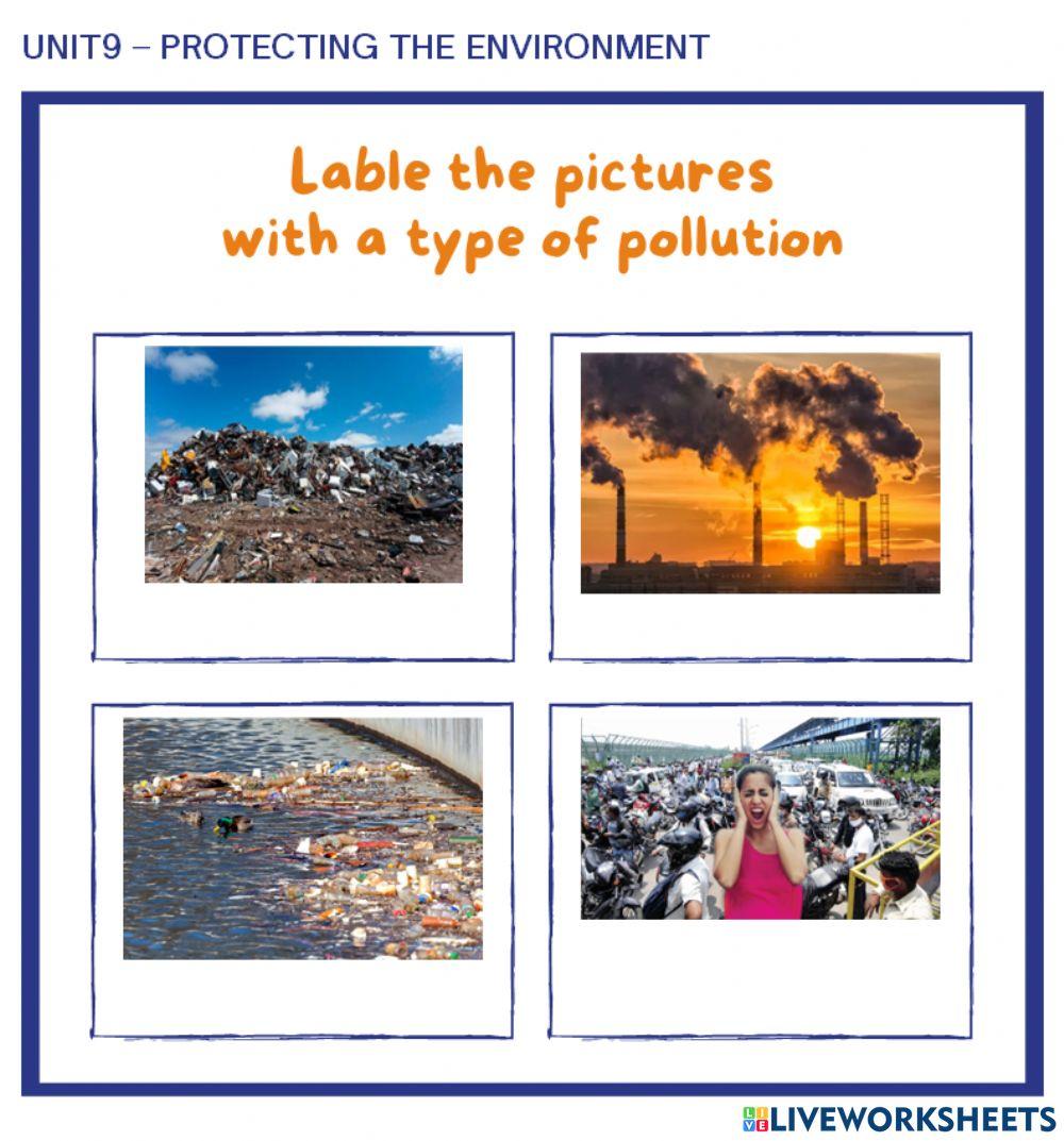 types-of-pollution-online-pdf-worksheet-live-worksheets