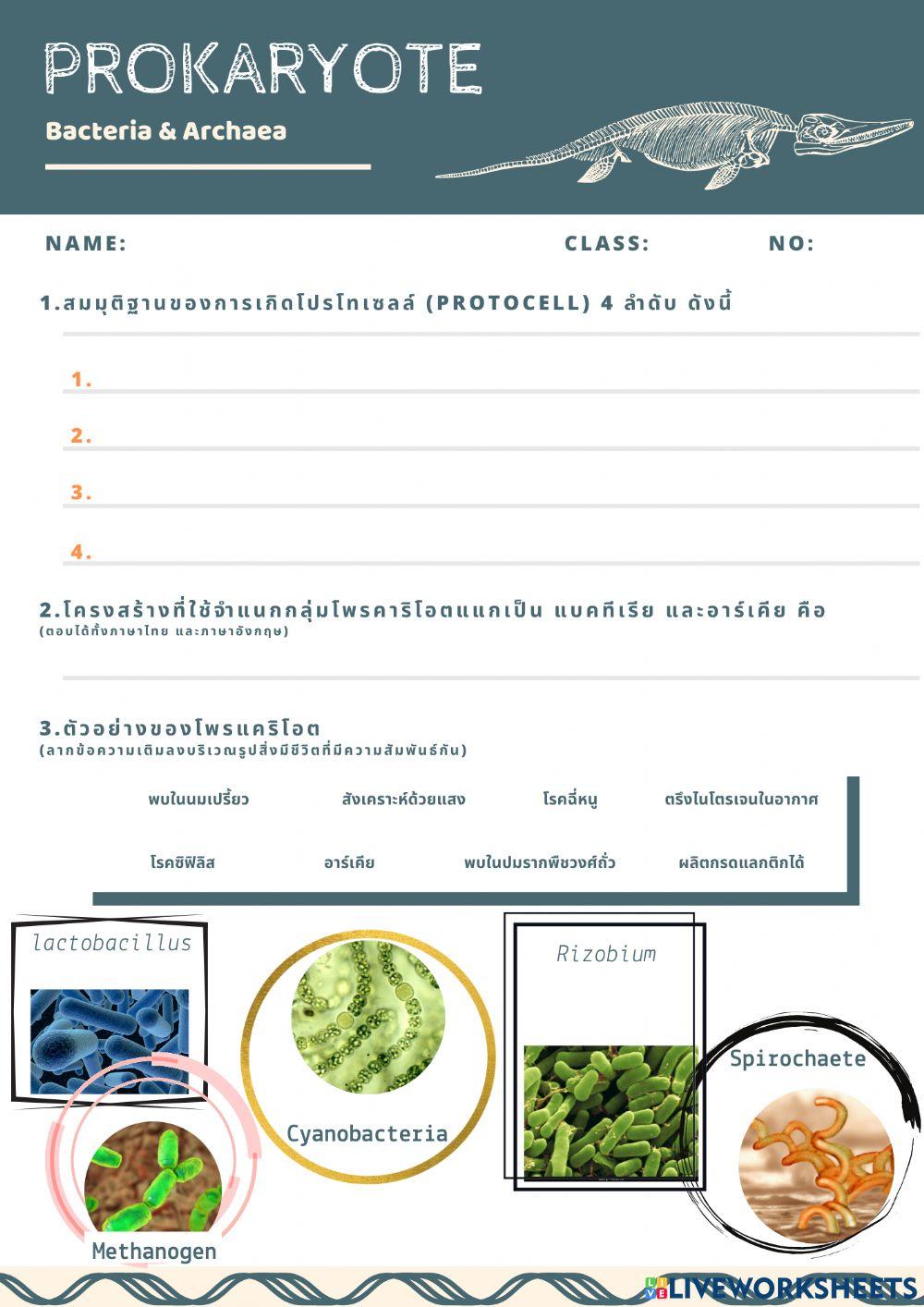 โพรแคริโอต