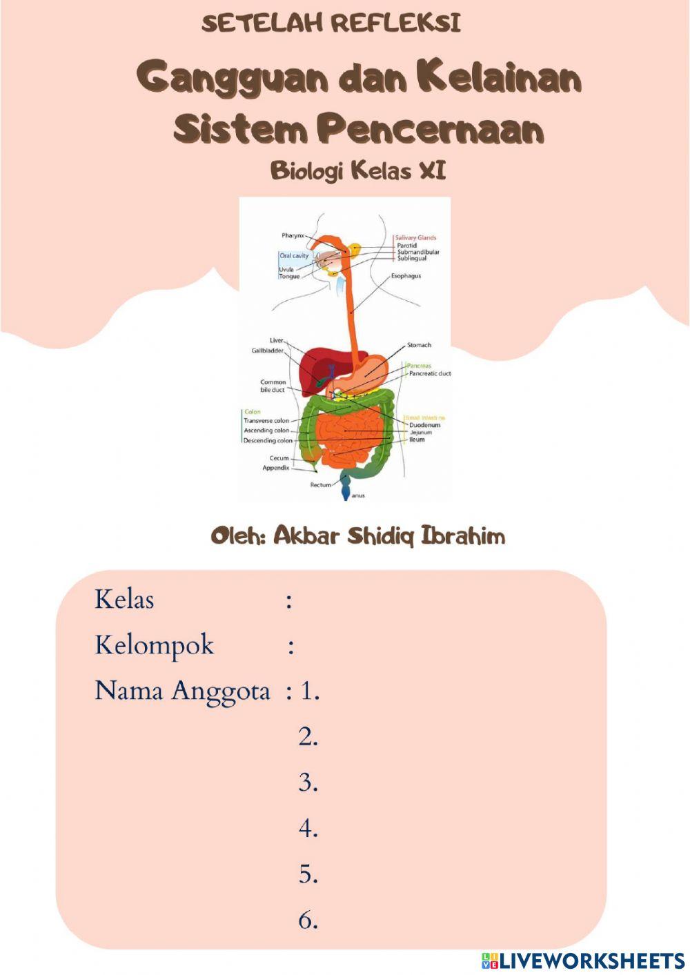 Kelainan dan Gangguan Sistem Pencernaan