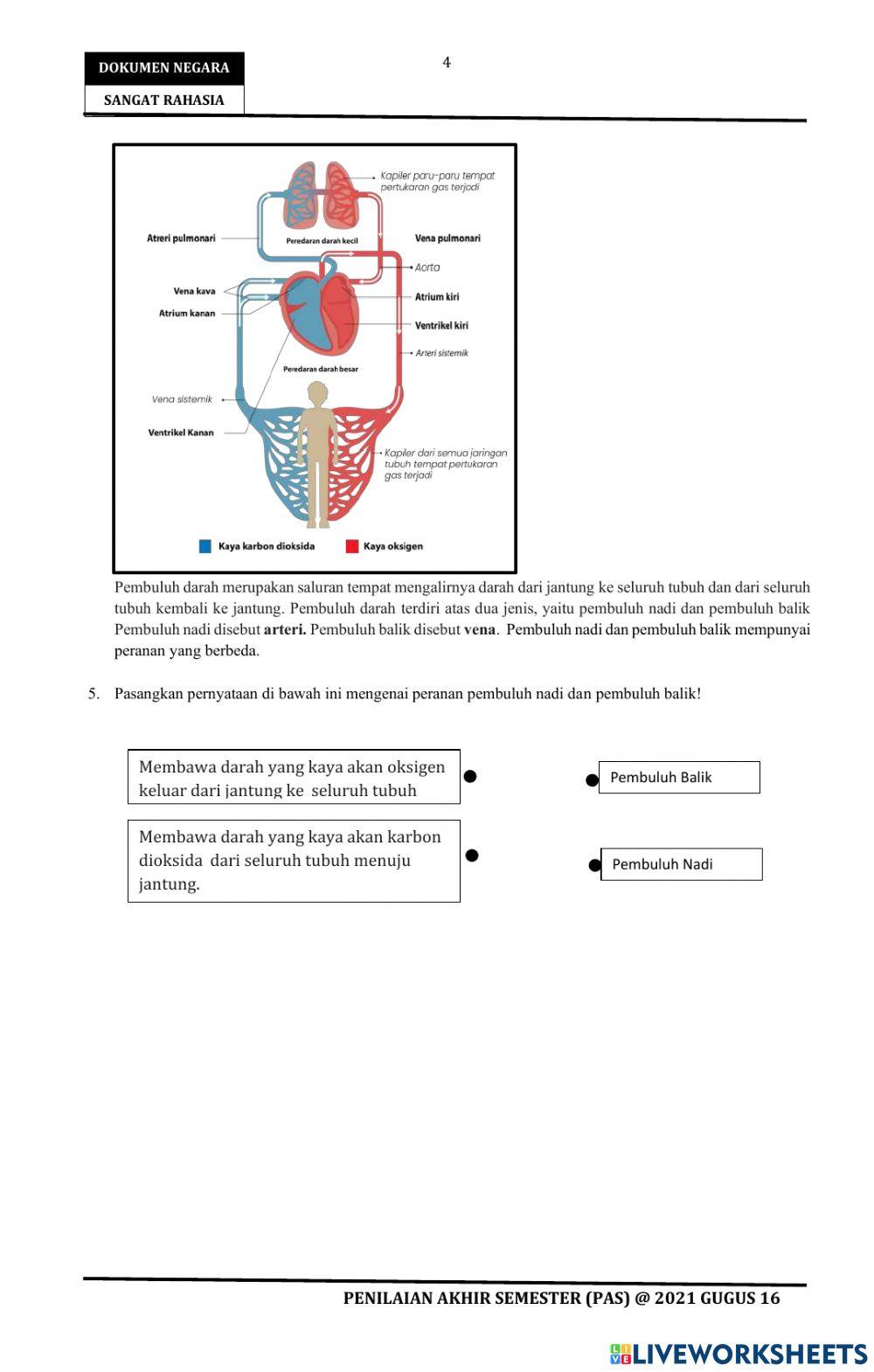 Soal pas tema 4 kelas 5