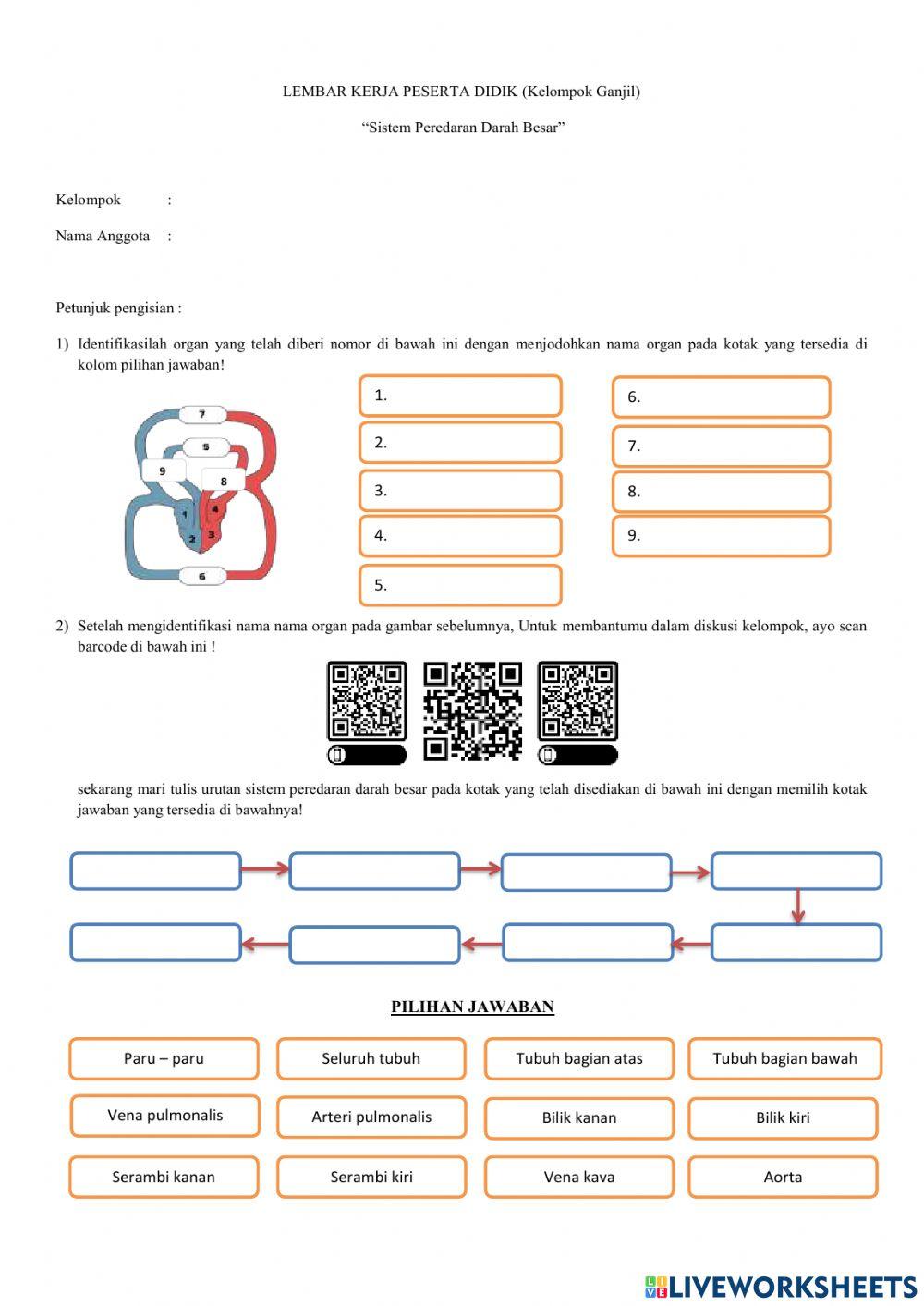 Sistem peredaran darah