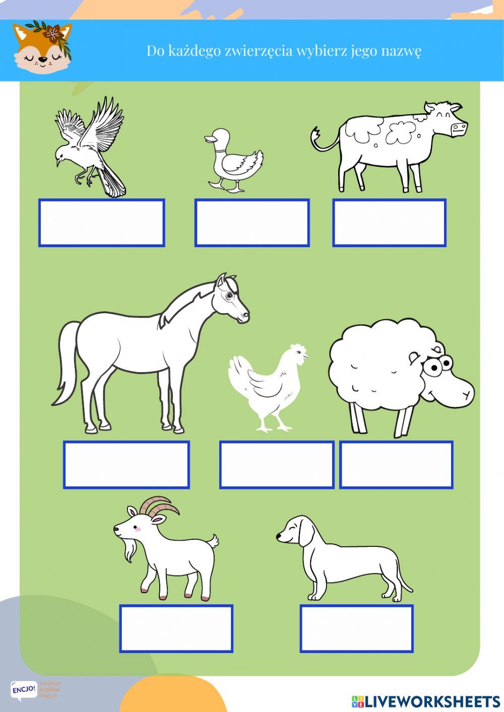Iws farm animals unit6