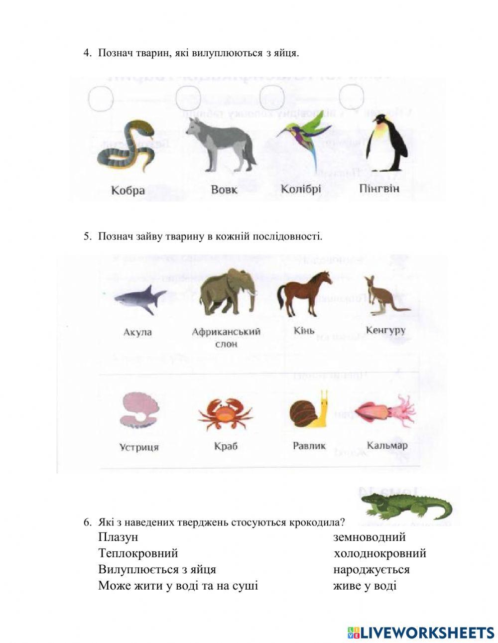 Класифікація тварин