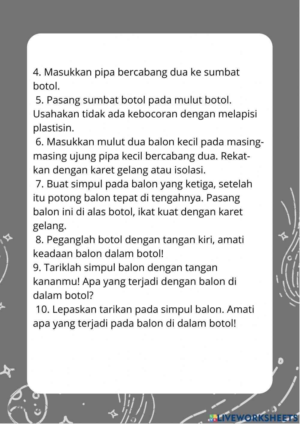 Organ Pernapasan Manusia