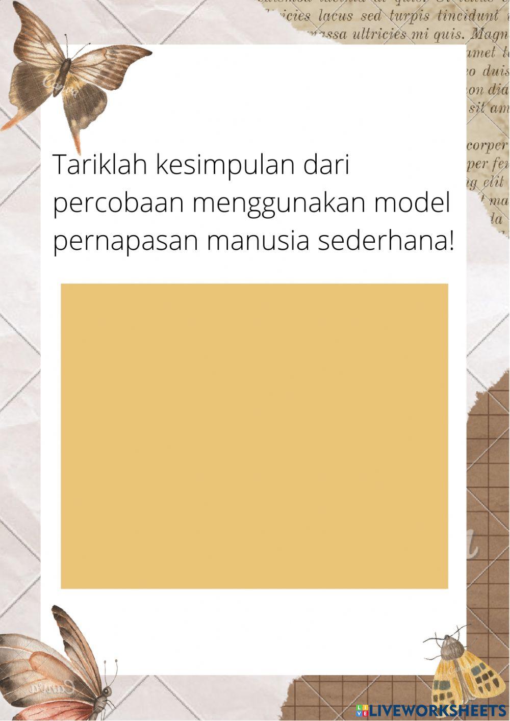 Organ Pernapasan Manusia