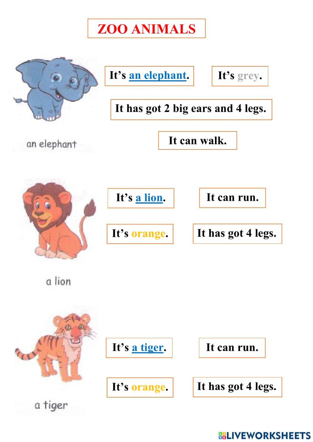Zoo animals - lesson