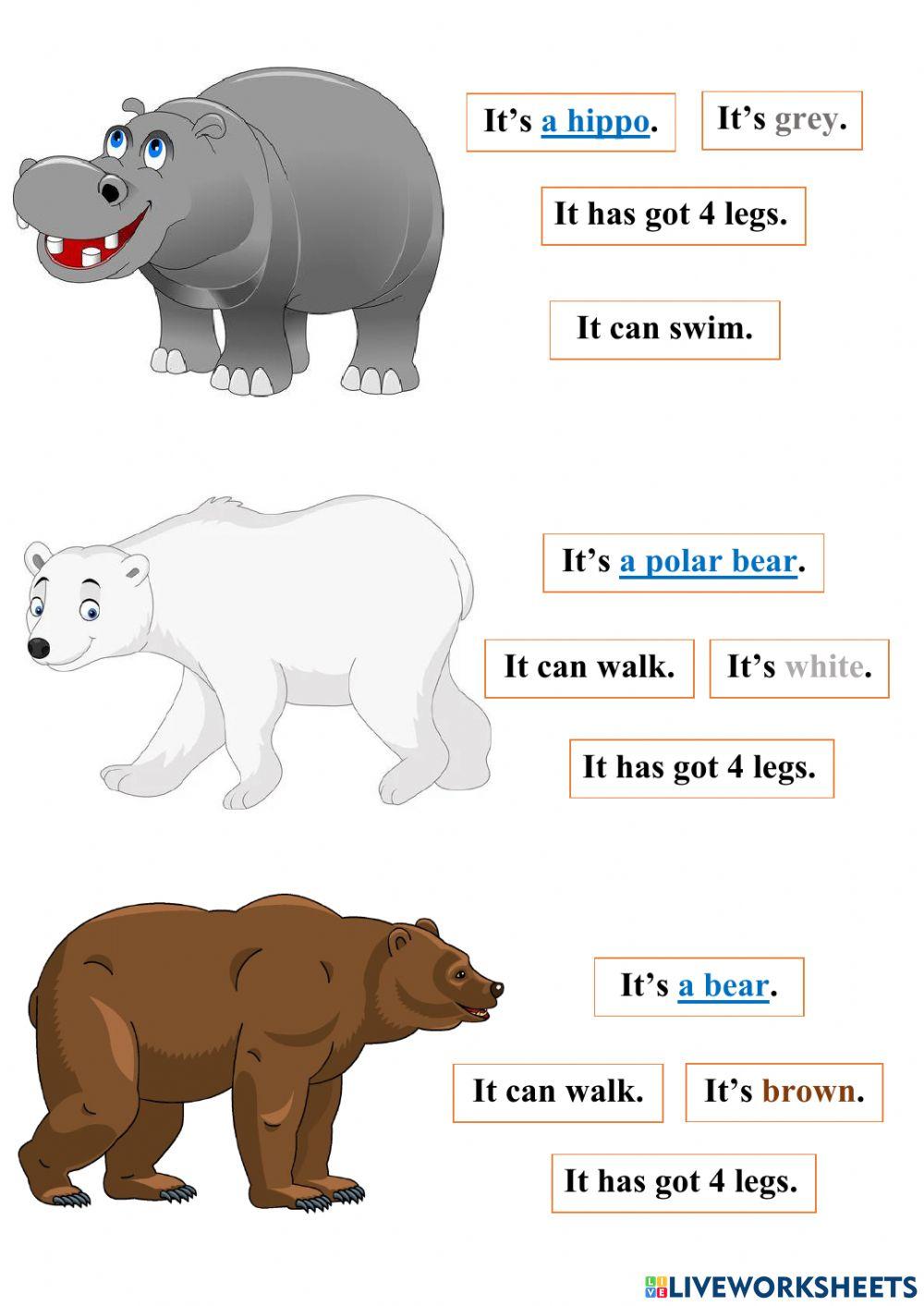 Zoo animals - lesson
