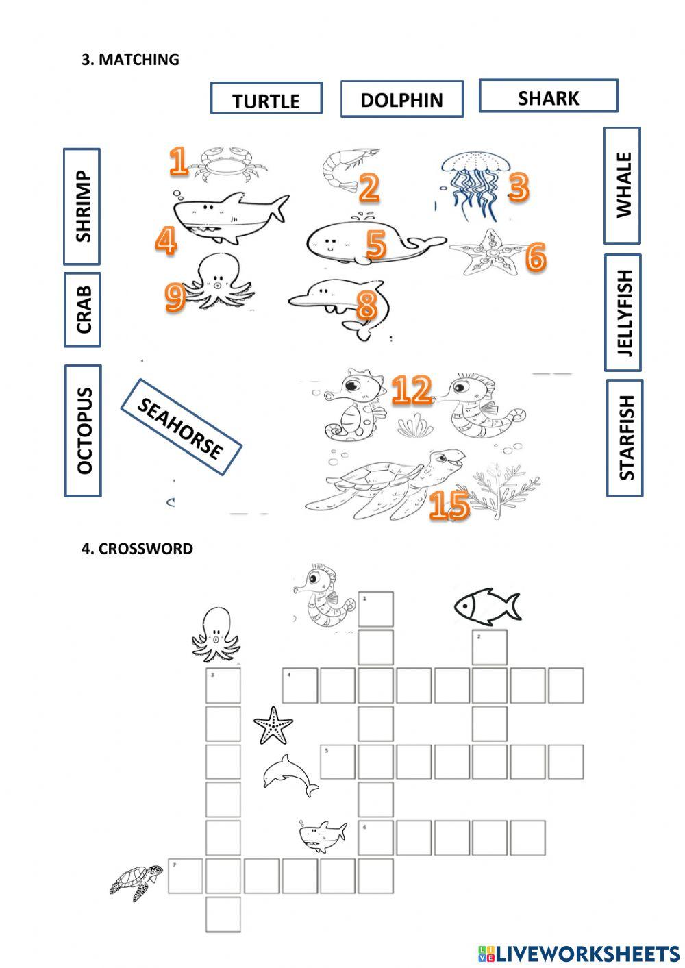 Lesson 15. who lives in the ocean