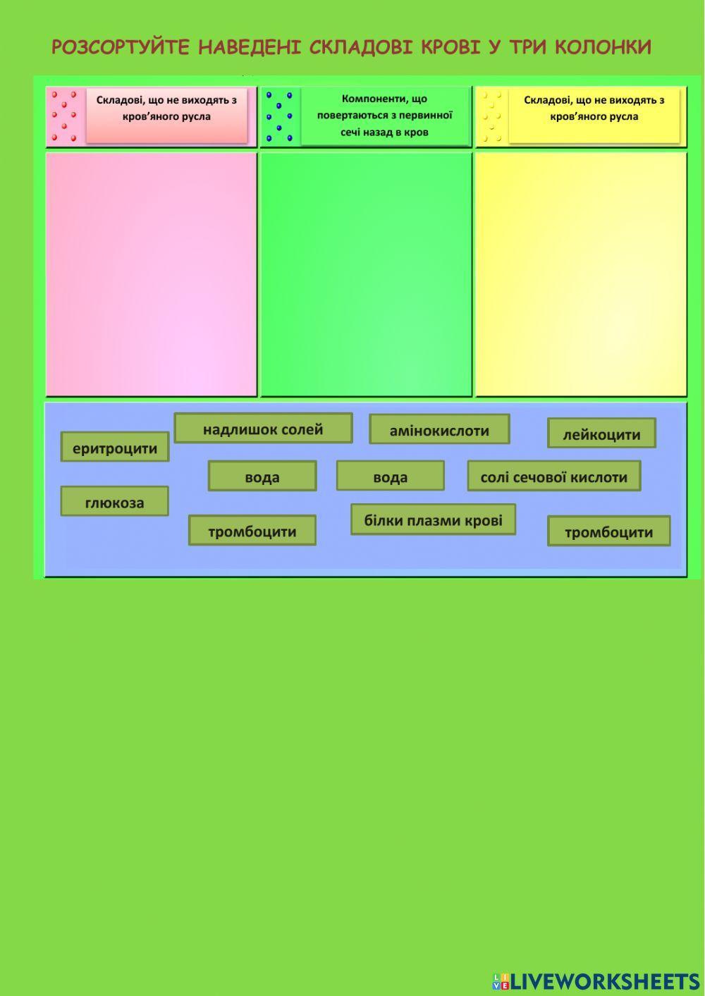 Сечовидільна система