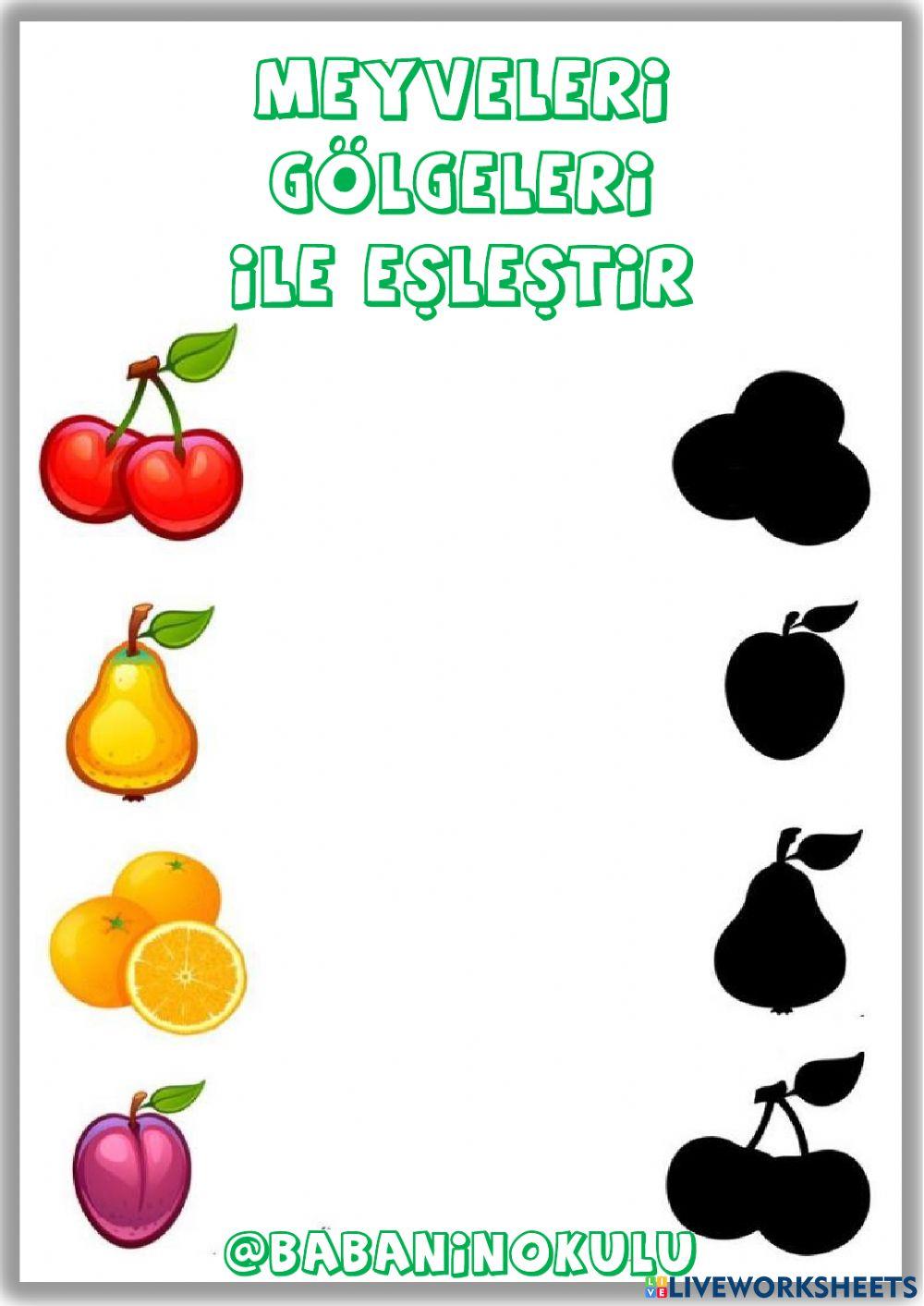 12-16 ARALIK GENEL TEKRAR CUMARTESİ