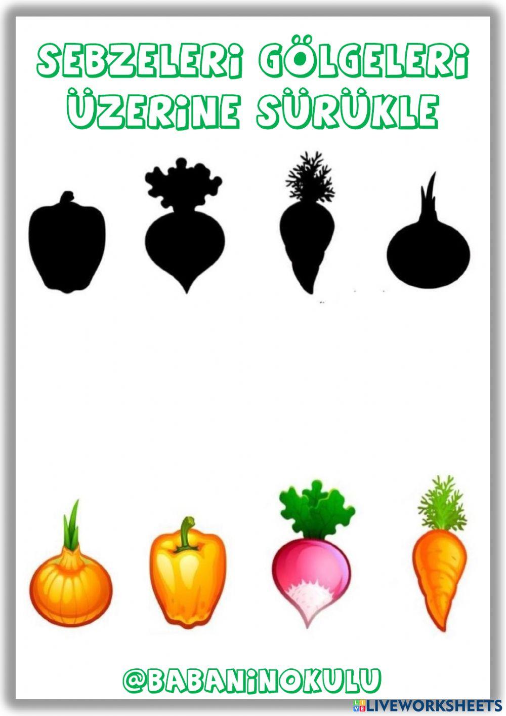 12-16 ARALIK GENEL TEKRAR CUMARTESİ