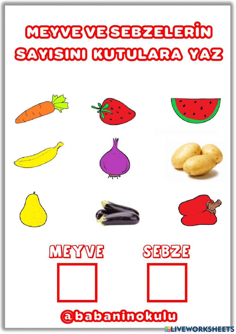 12-16 ARALIK GENEL TEKRAR CUMARTESİ