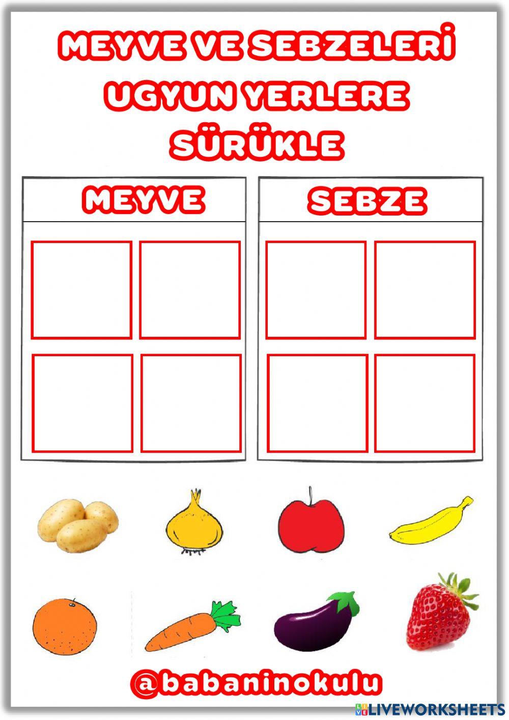 12-16 ARALIK GENEL TEKRAR CUMARTESİ