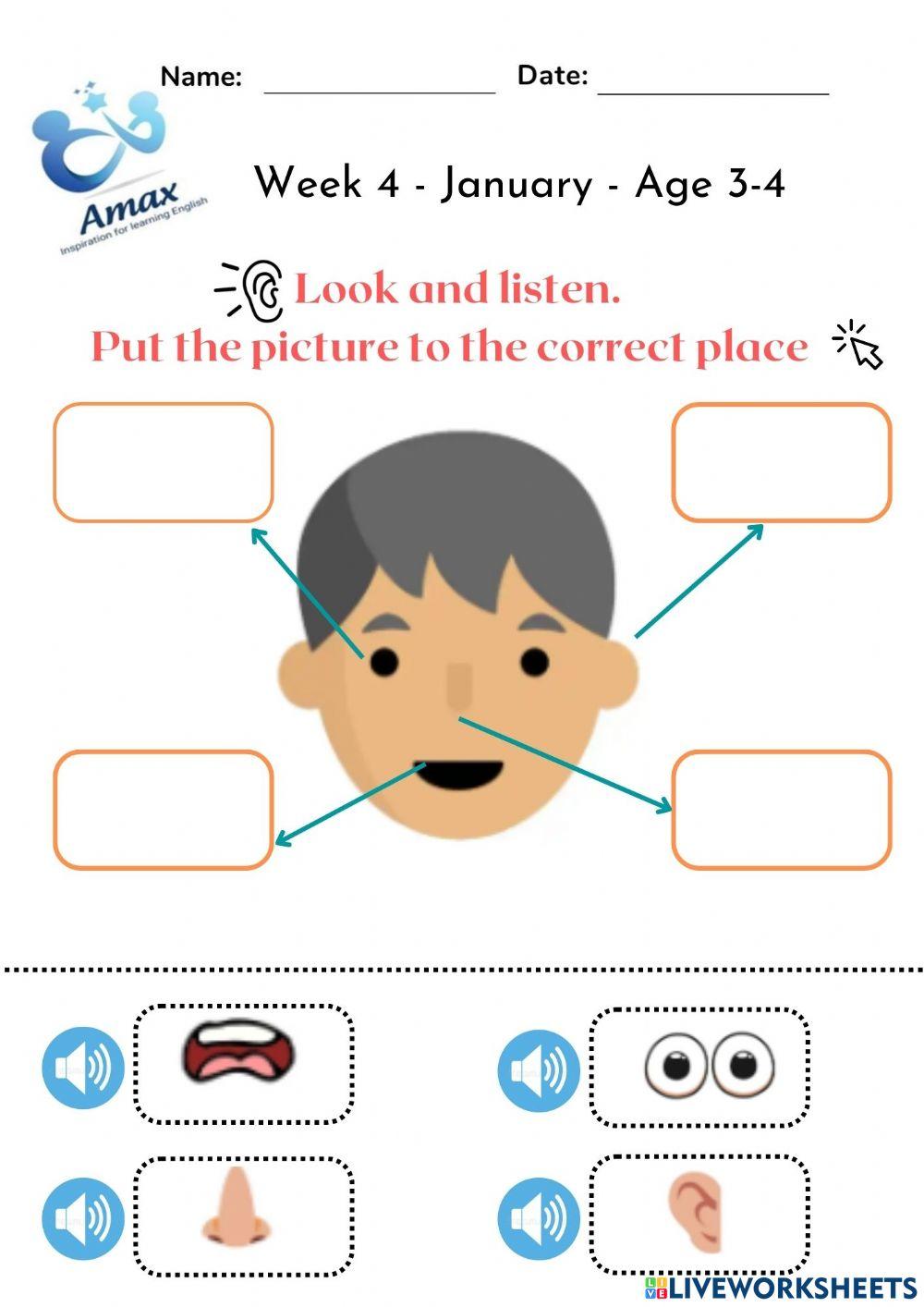 Week 4 january age 3 4 worksheet live worksheets