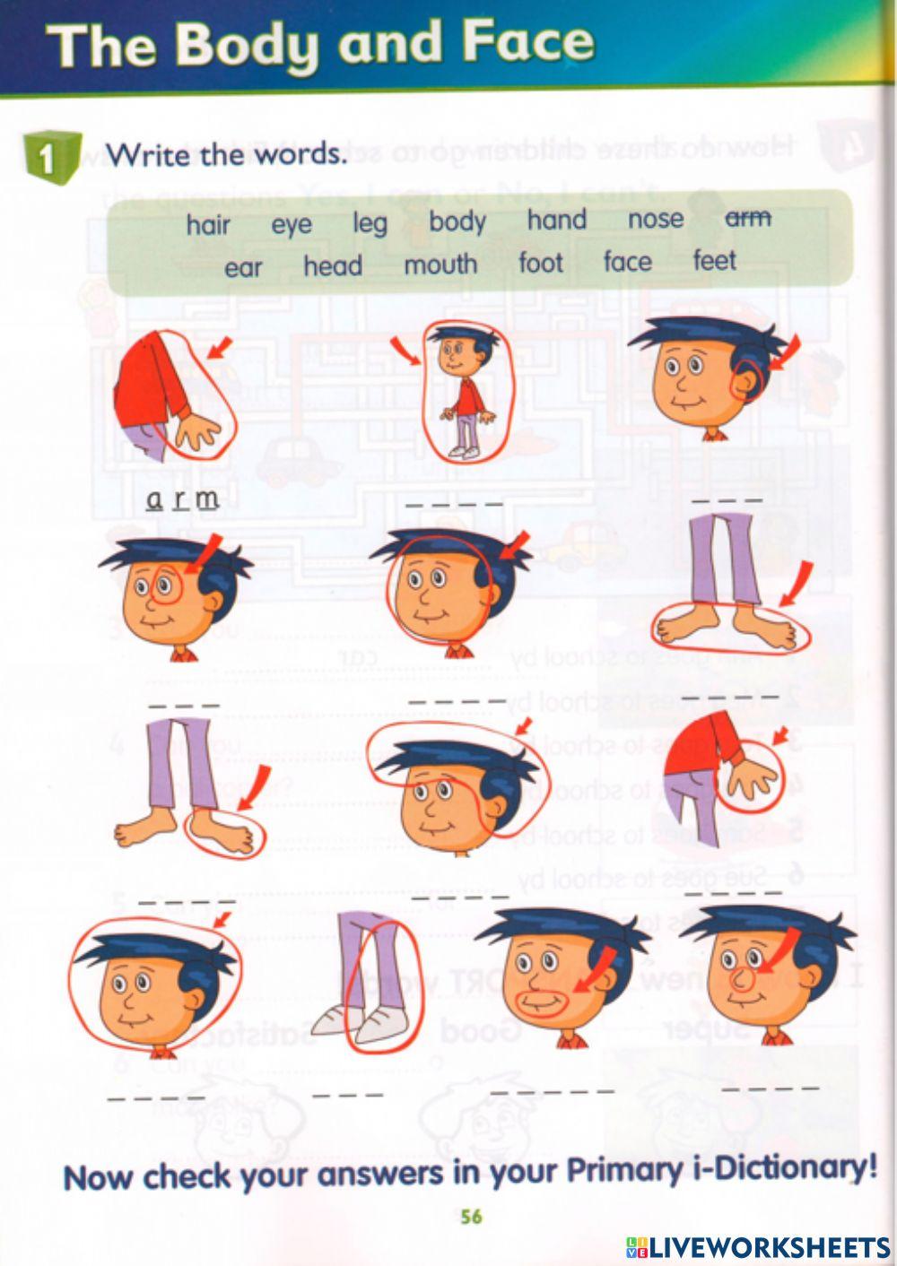 Idict 1 - Unit 10 - Lesson 7 - Worksheet