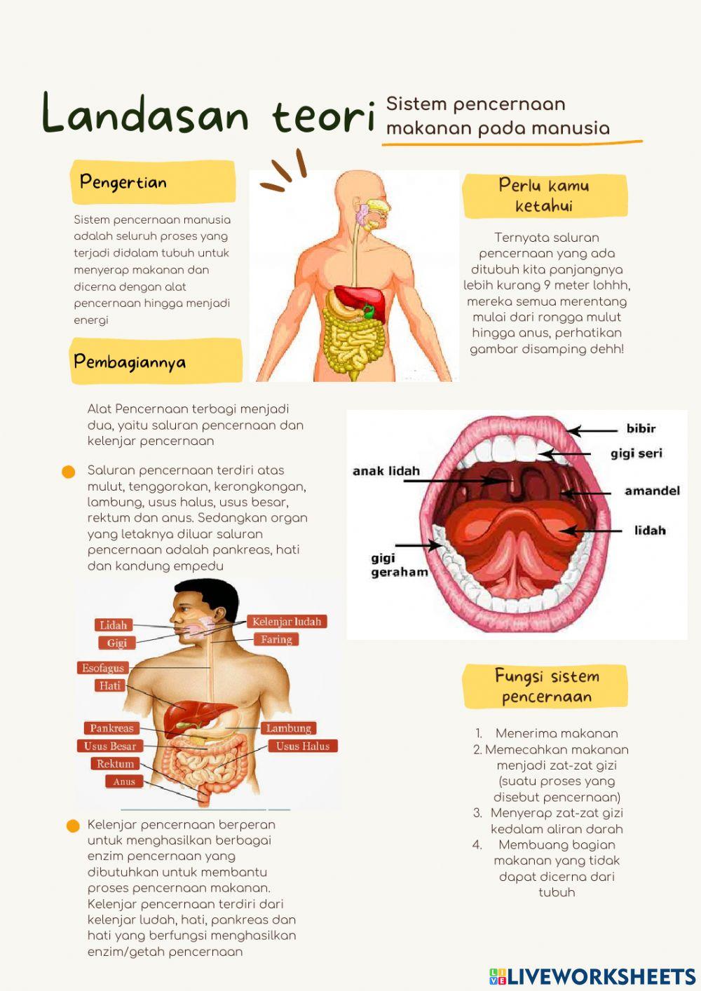 E-lkpd sistem pencernaan manusia