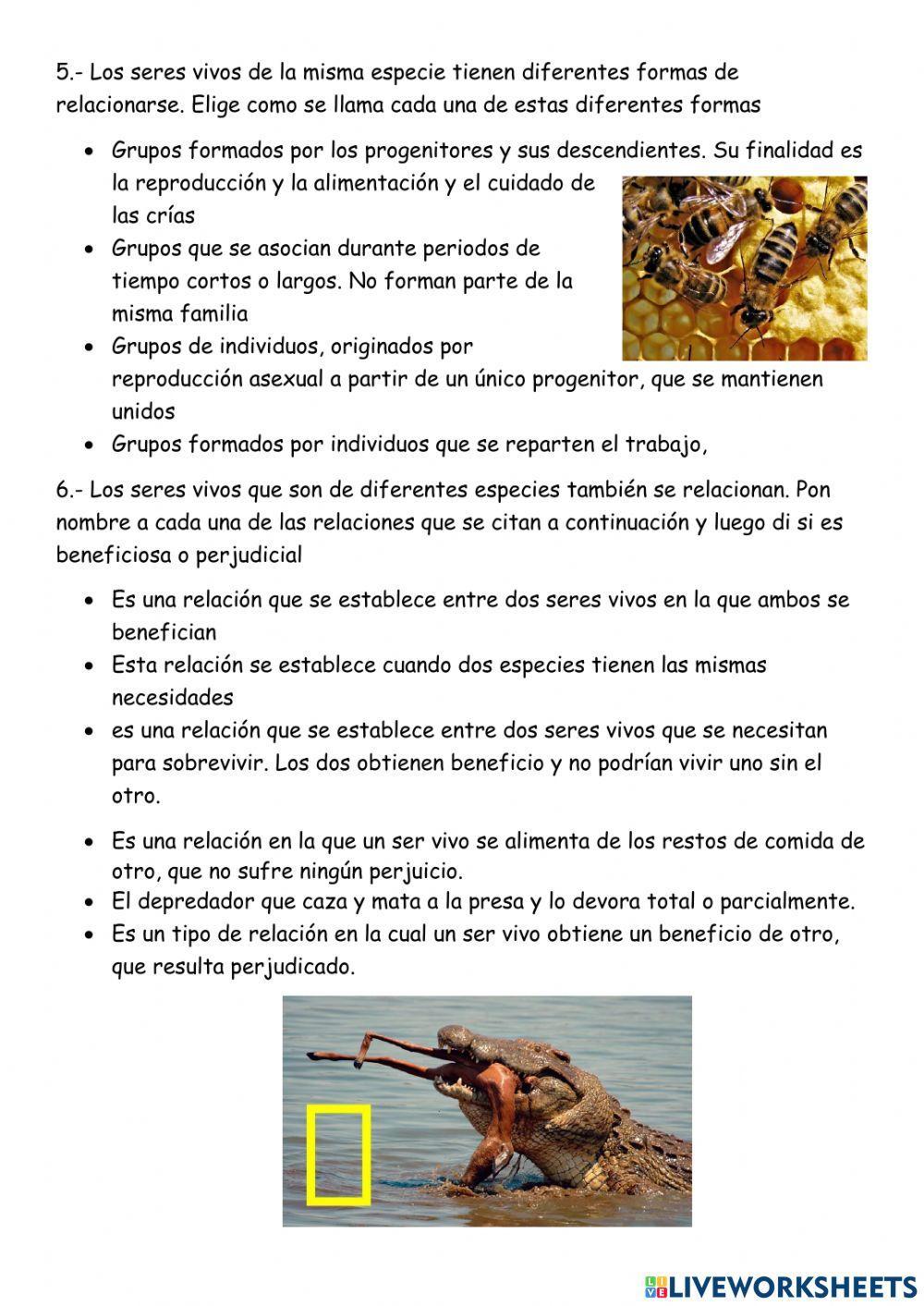 Relaciones entre seres vivos