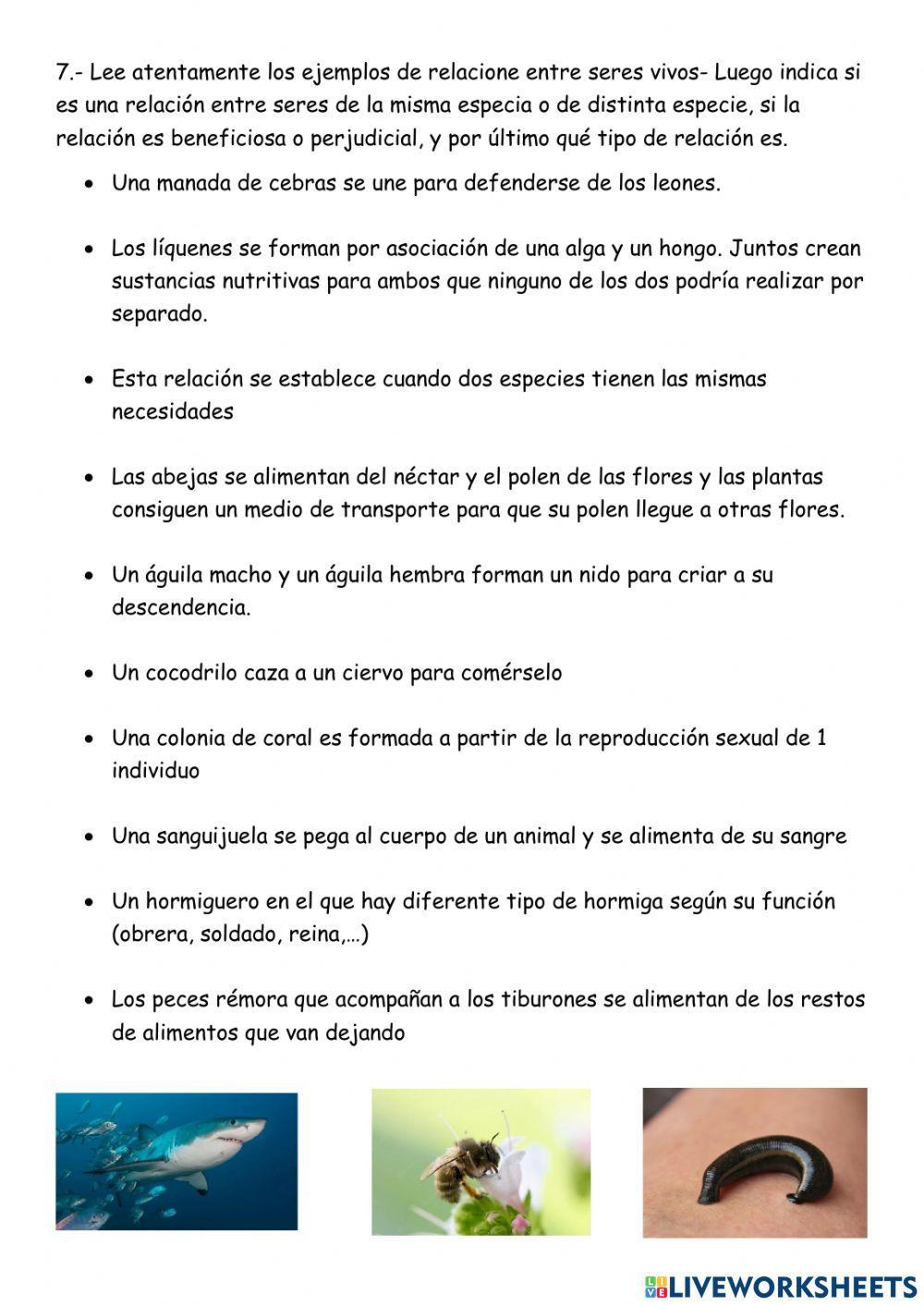 Relaciones entre seres vivos