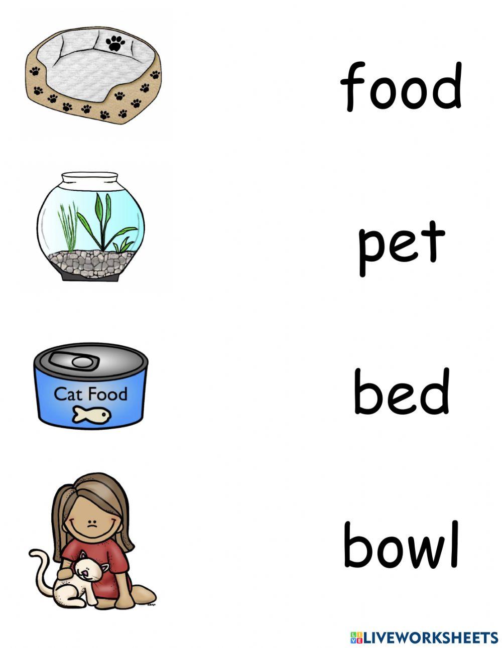 Pet Words