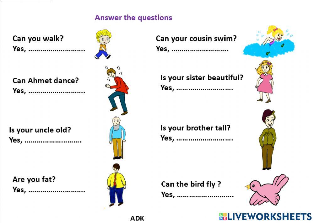 ye no questions worksheet | Live Worksheets
