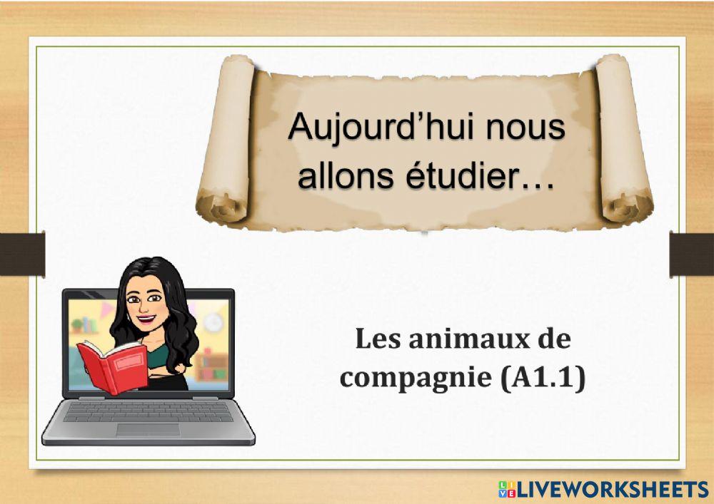 Tu as un animal A1.1 Théorie