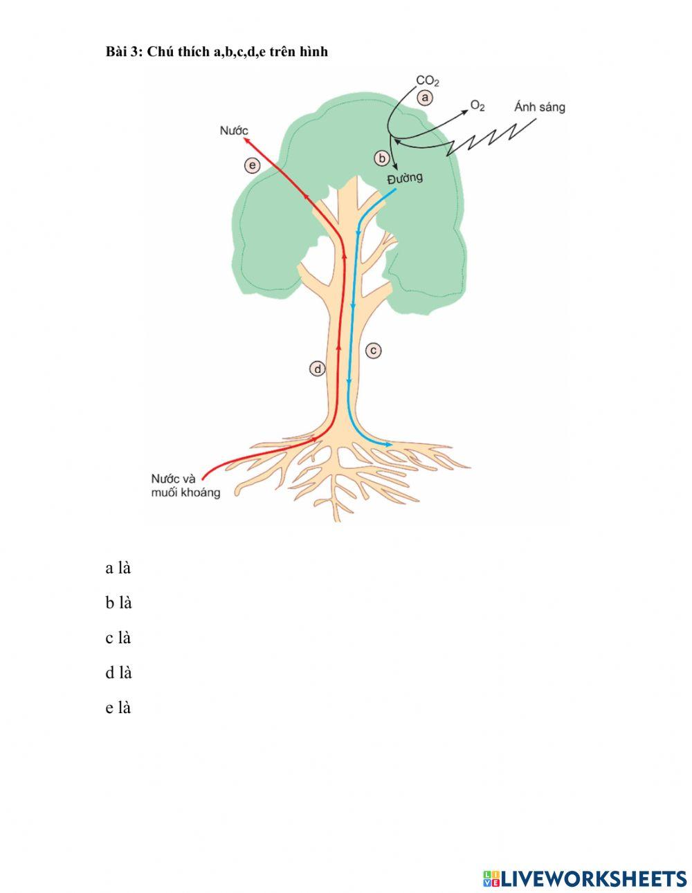 Trao đổi nước và muối khoáng