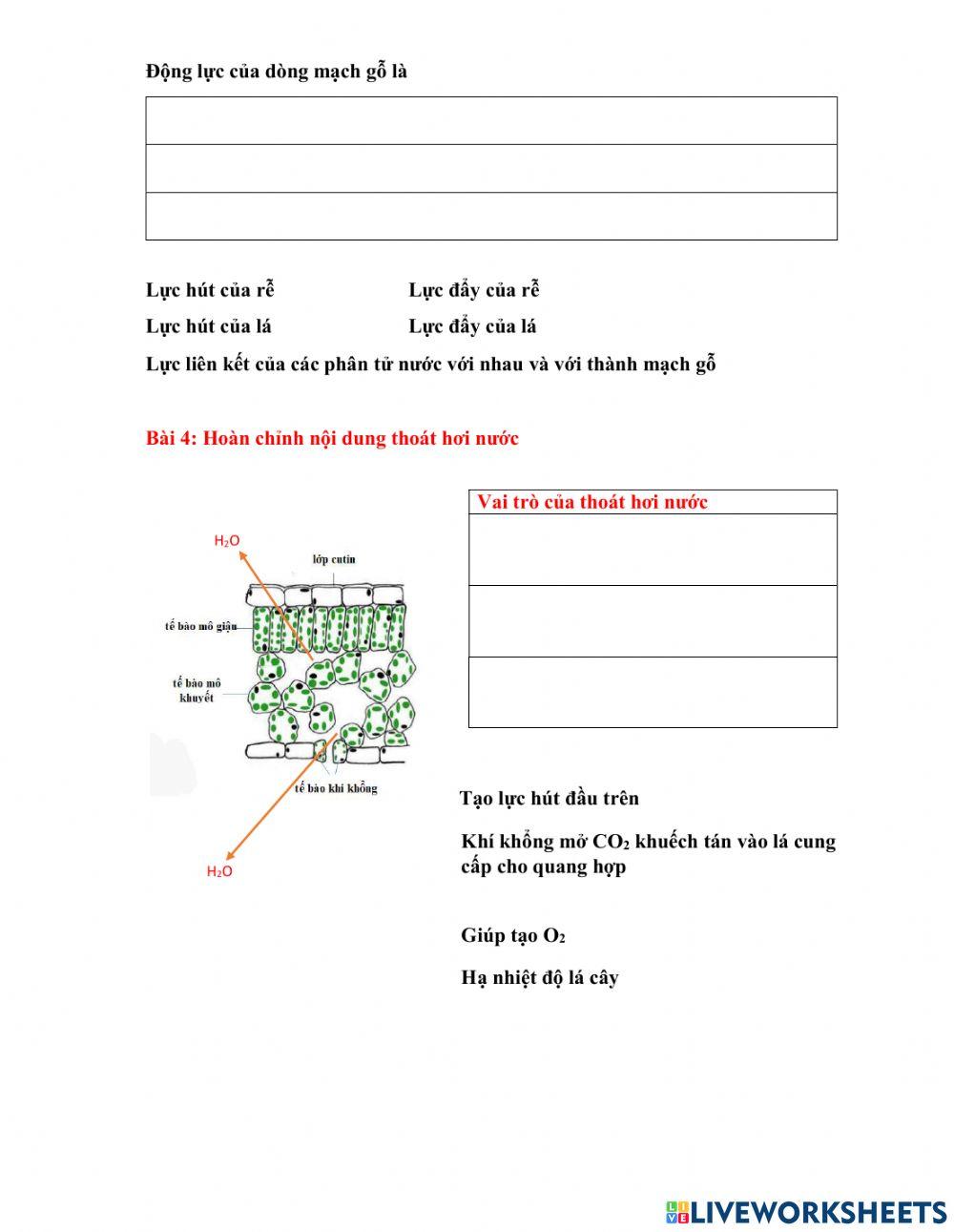 Trao đổi nước và muối khoáng