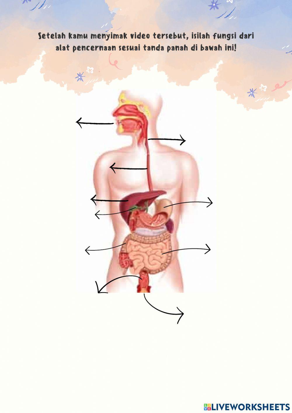 E-lkpd sistem pencernaan manusia