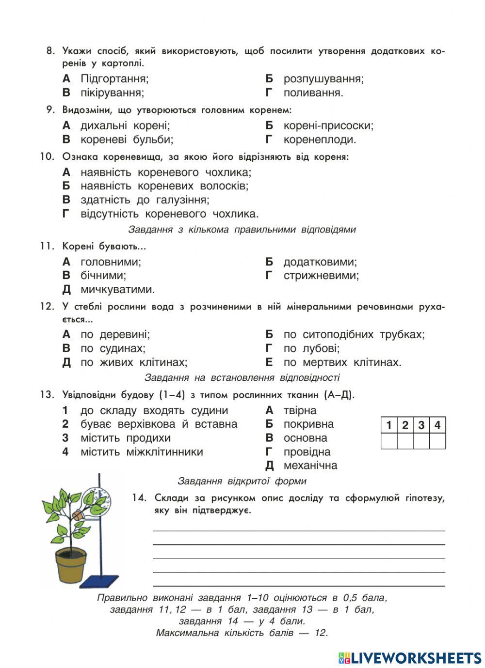 Тканини та вегетативні органи рослин, їхні функції