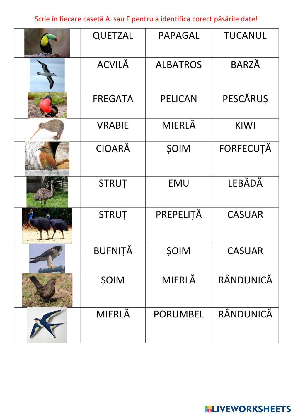 Olimpiada păsarilor -editia I