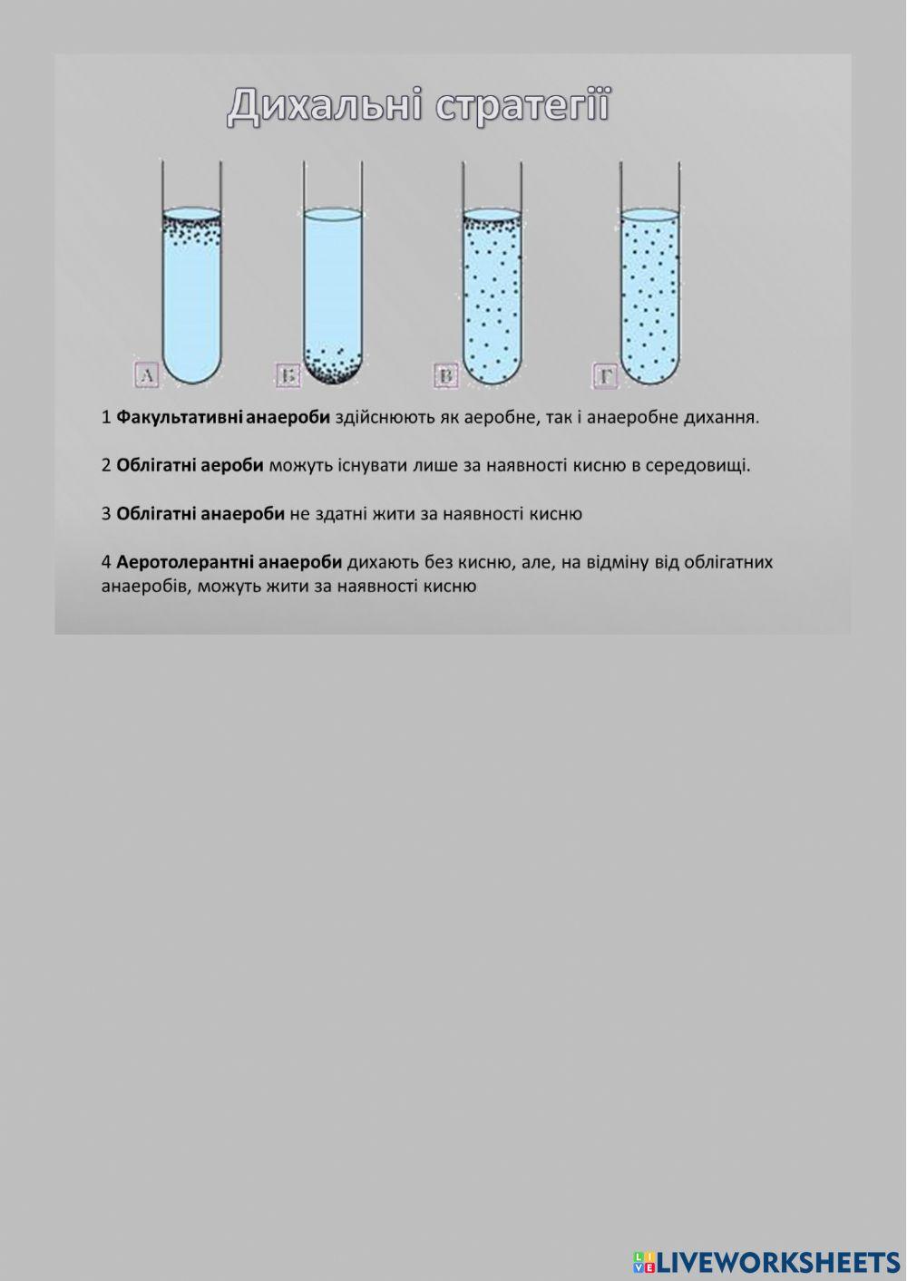 Відношення організмів до кисню