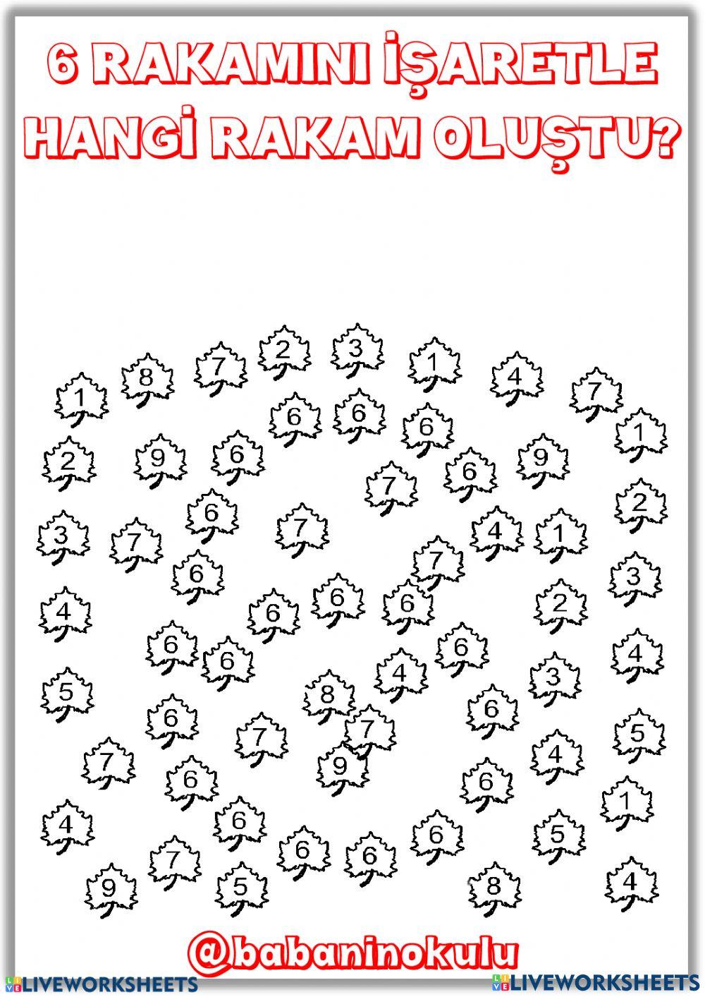 6 RAKAMI