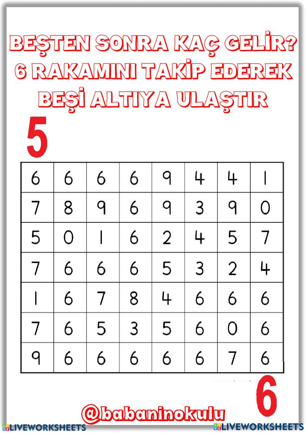 6 RAKAMI