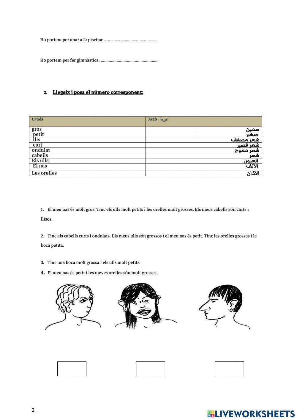 PROVA - COMENCEM- 2n trimestre