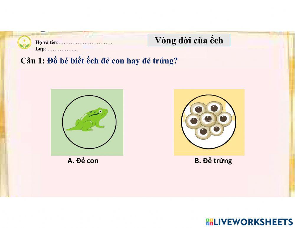 Vòng đời của ếch