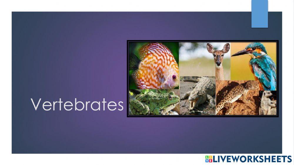 Vertebrates