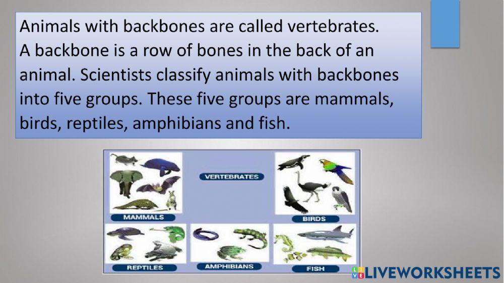 Vertebrates