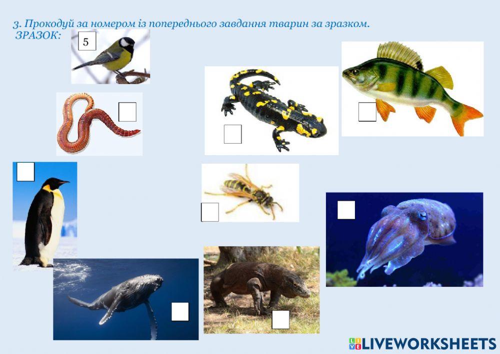 Класифікація тварин