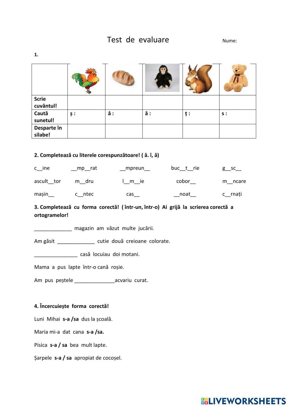 Test de evaluare:î,ă,â