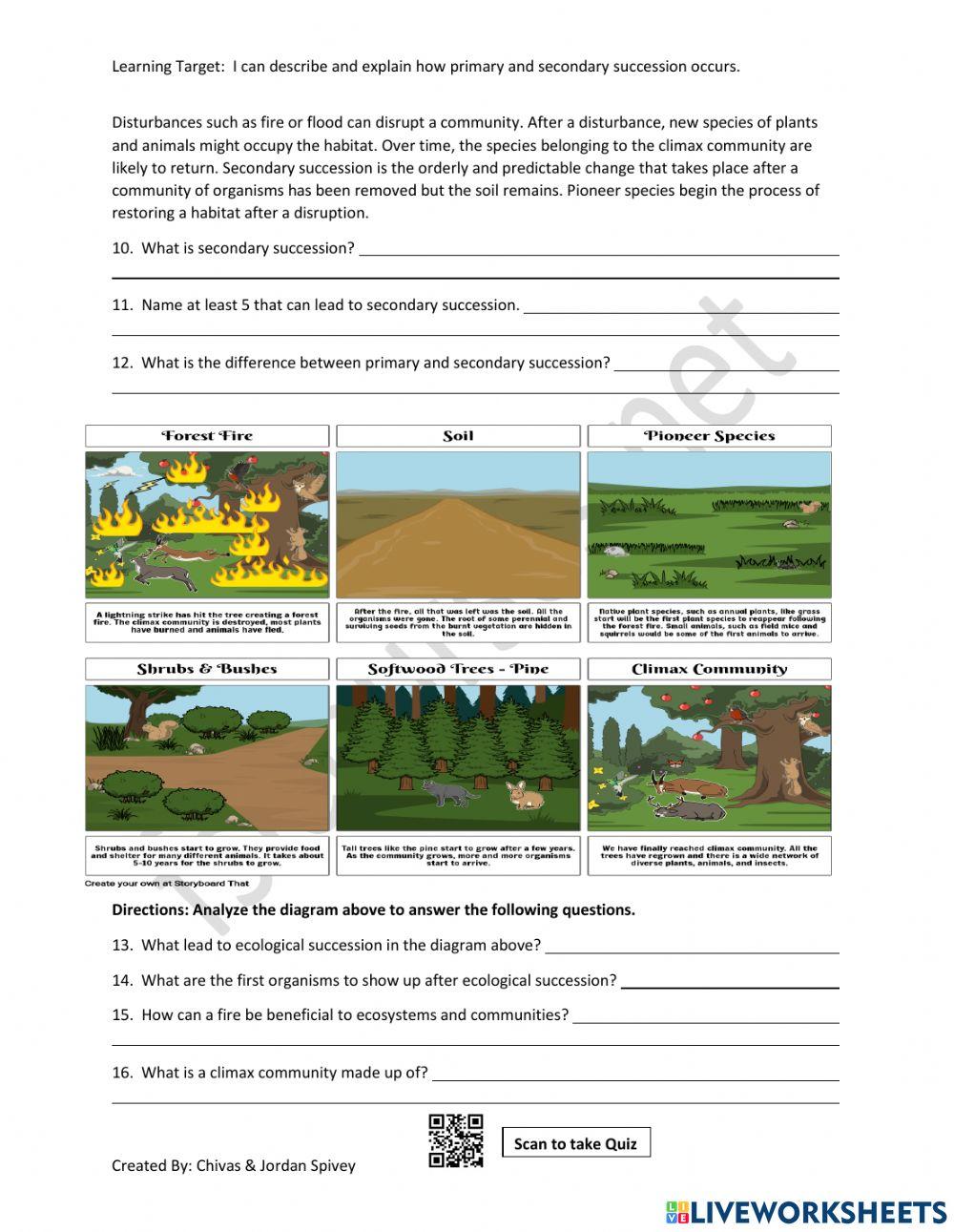Ecological Succession Reading for Meaning Activity online exercise for Live Worksheets