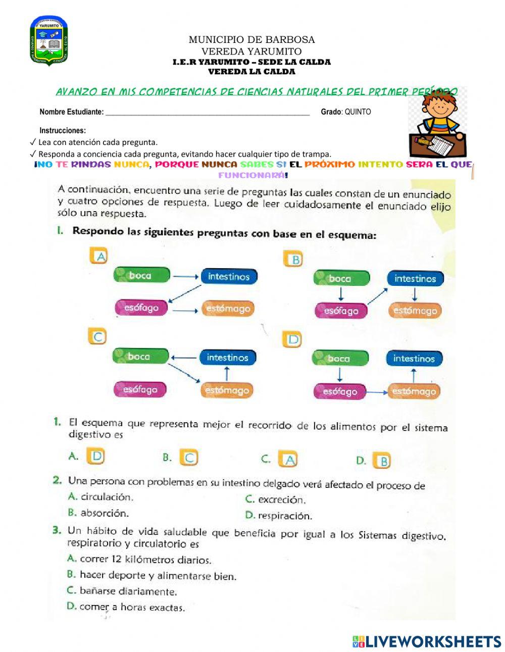 Sistemas del cuerpo humano