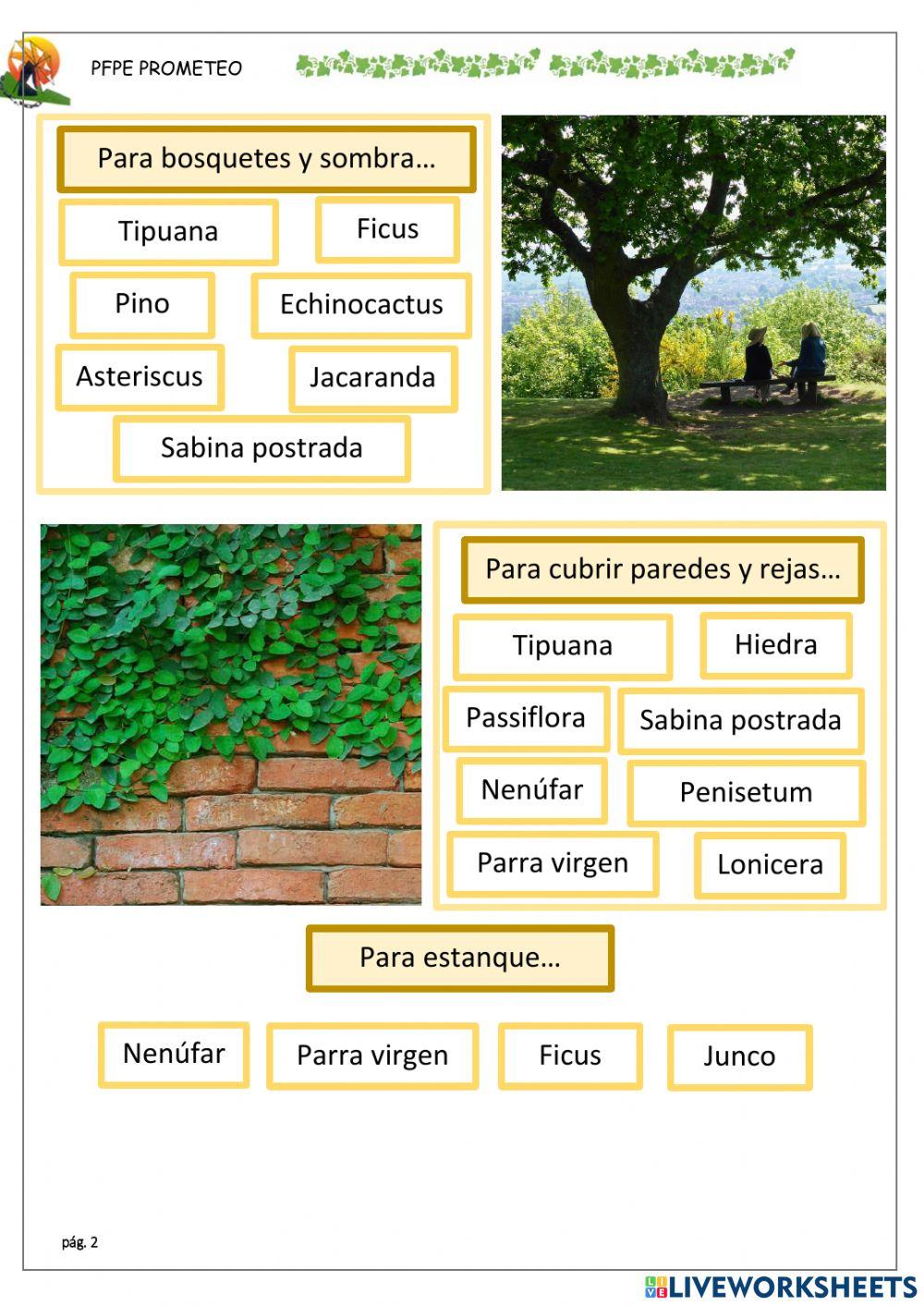 Elegir ubicación para plantar