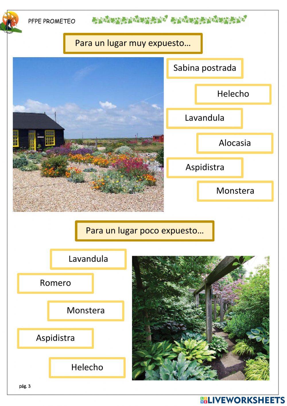 Elegir ubicación para plantar